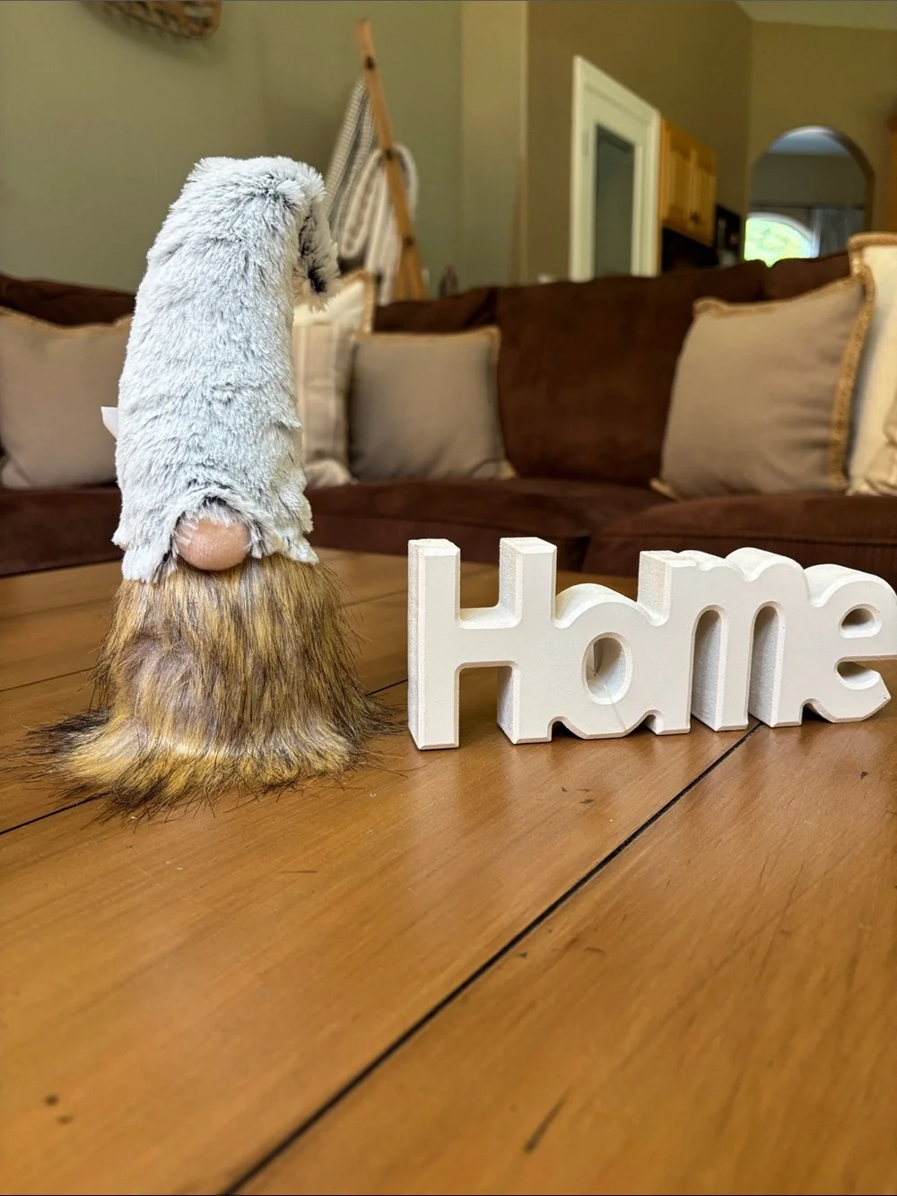 Home Plush Gnome Wall Accent - Gray and Brown